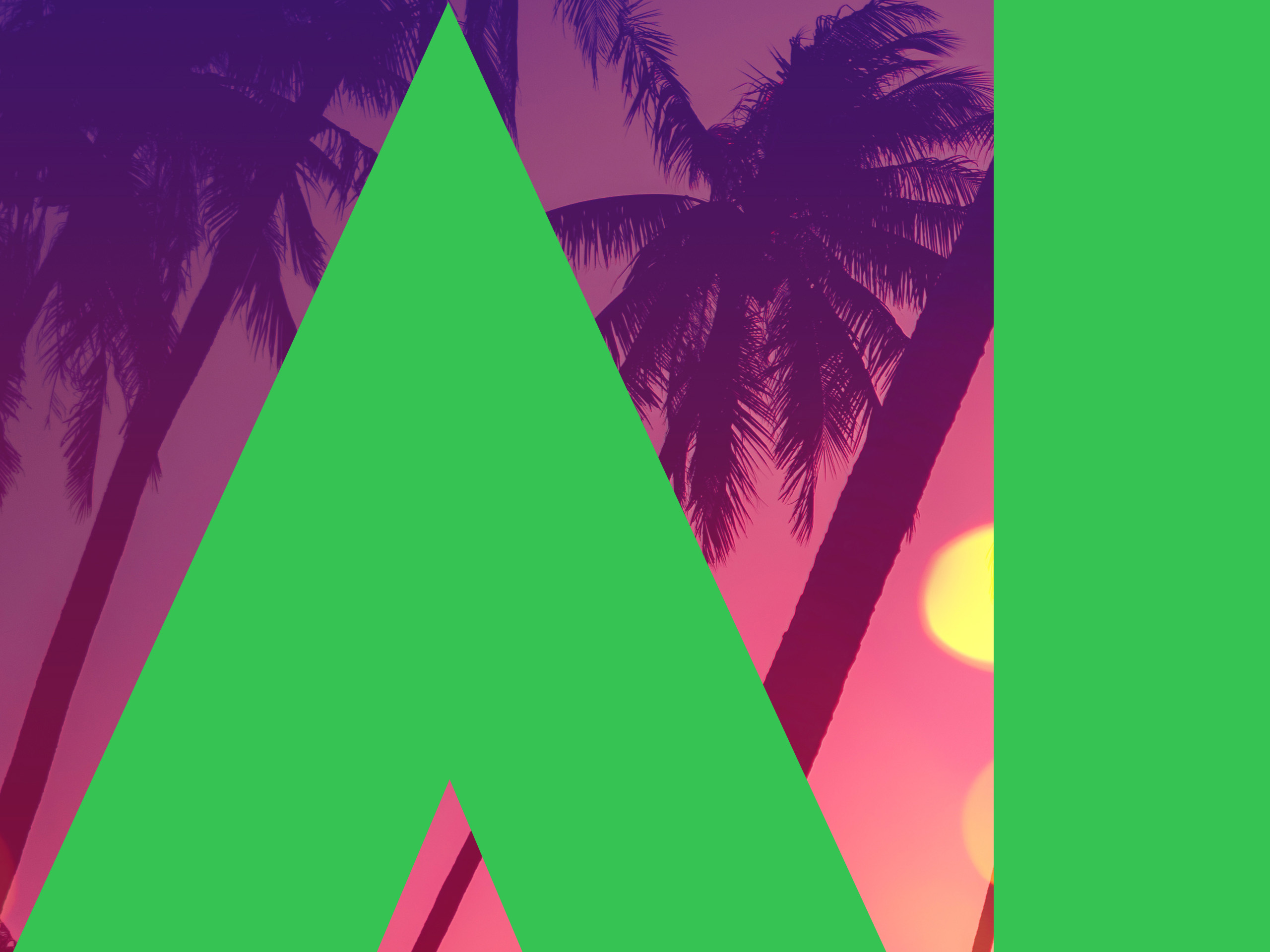 Abstract tropical background with palm tree silhouettes and sunset colors, overlaid by bold green shapes.